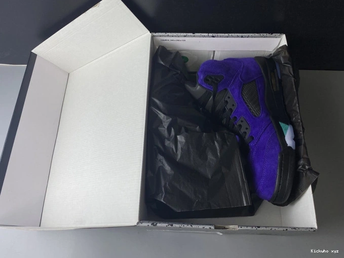 Alternate 5 Jordan Air Grape Retro 136027-500 0718